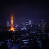 ~tokyo tower~