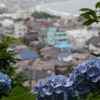 紫陽花が似合う街