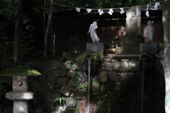 ご来光？