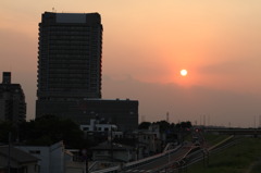 夕日