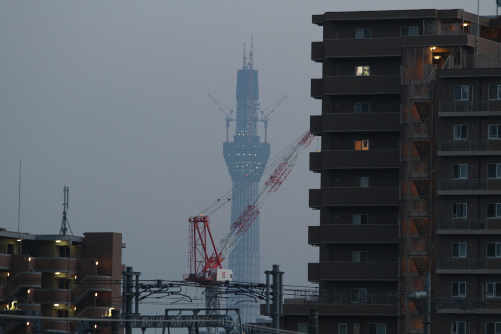 スカイツリー