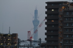 スカイツリー