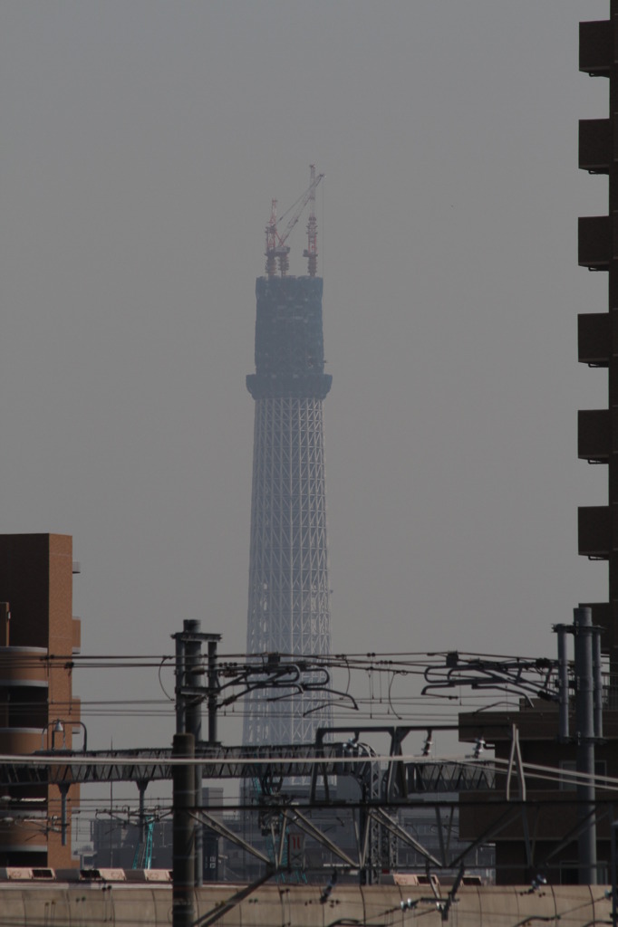 東京スカイツリー
