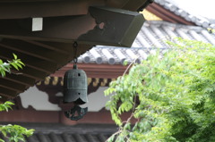 風情