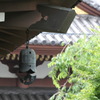 風情
