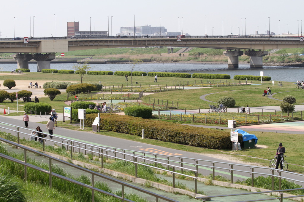 荒川の土手