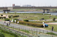 荒川の土手