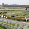 荒川の土手