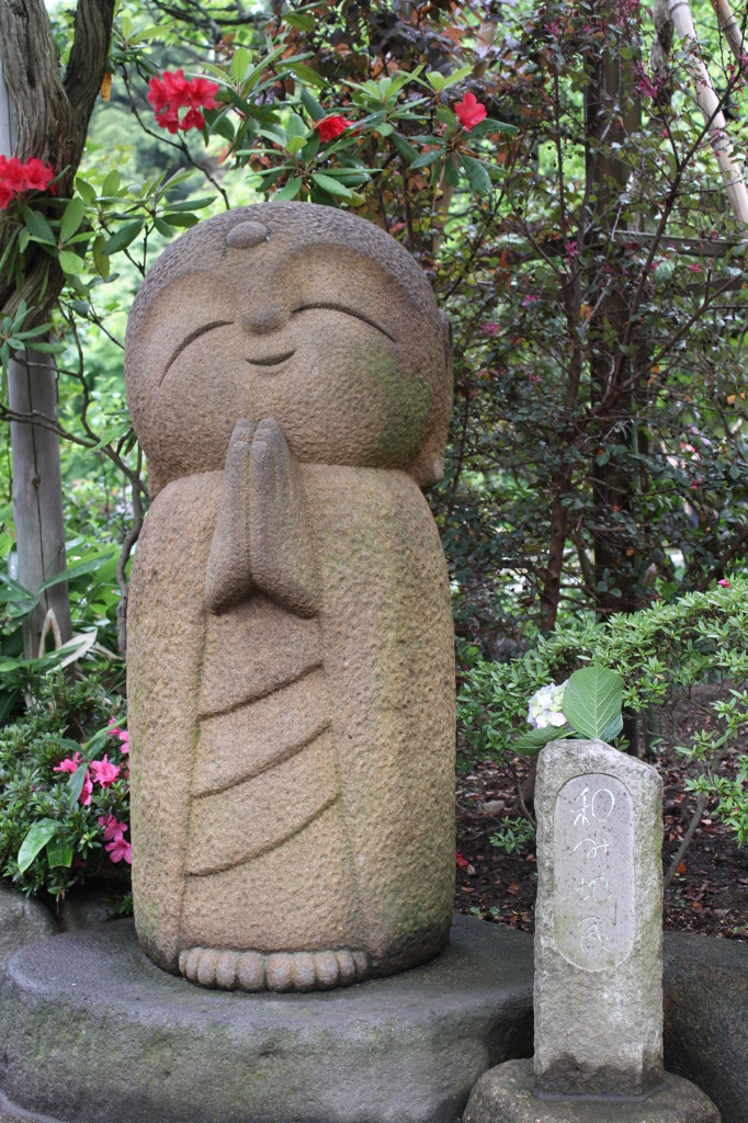 大きい！！