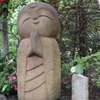 大きい！！