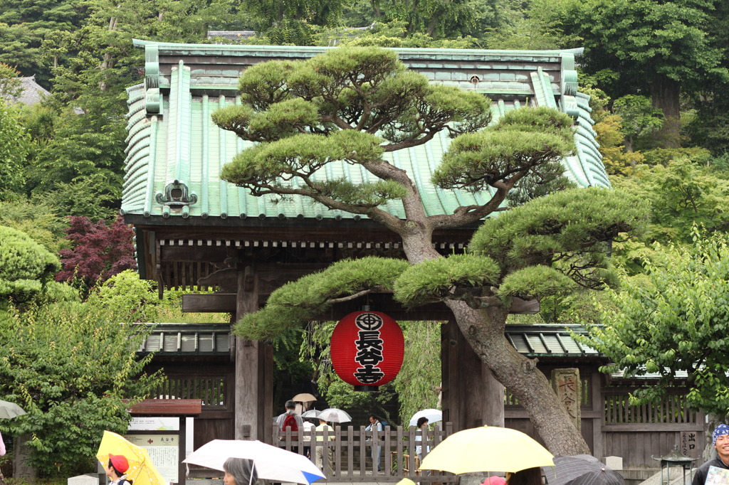 長谷寺