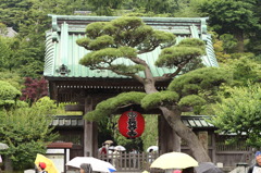 長谷寺