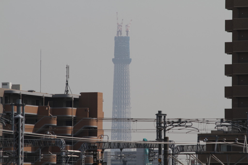 東京スカイツリー