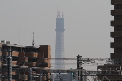 東京スカイツリー