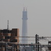 東京スカイツリー