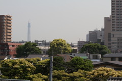 東京スカイツリー