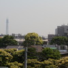 東京スカイツリー