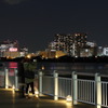 夜景に夢中