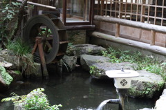 店の庭