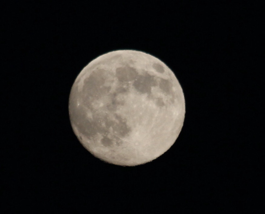 9月２２日の十五夜