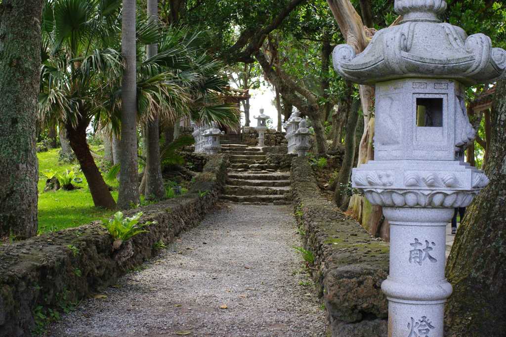 献燈
