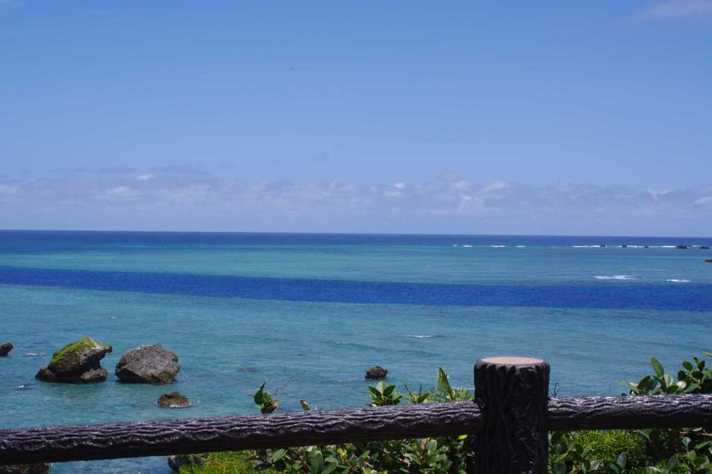 海