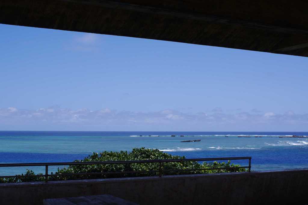 海
