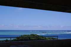 海