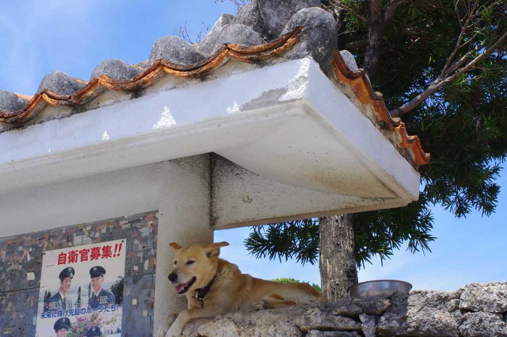 面接官（犬）？