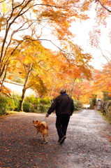 おさんぽ