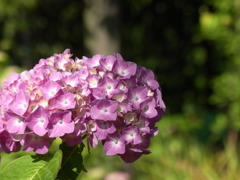 RIMG0213