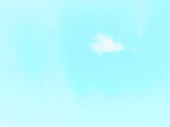 ことりさん