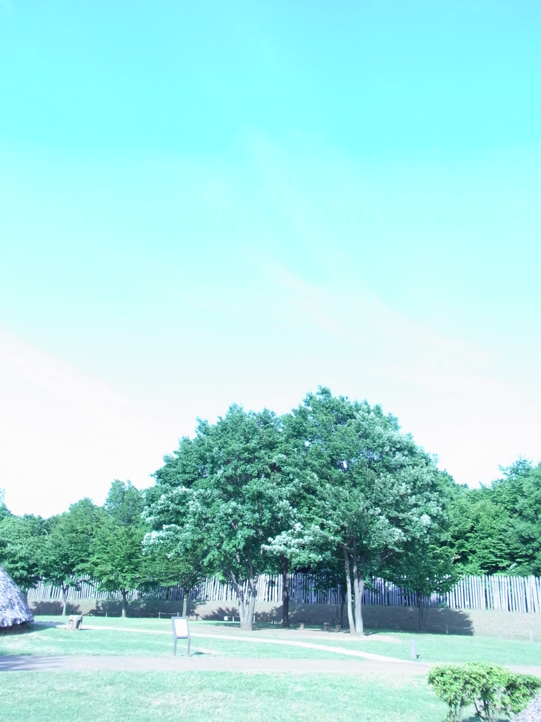 RIMG0251