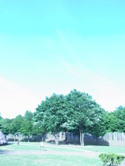 RIMG0251
