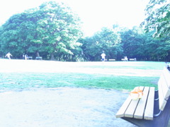 RIMG0263