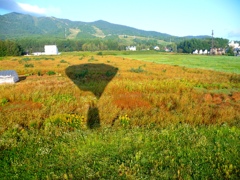 平和な風