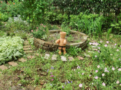 公園の住人