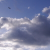空と飛行機