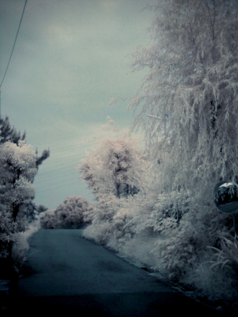 FalseColor#06