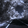 On the Road