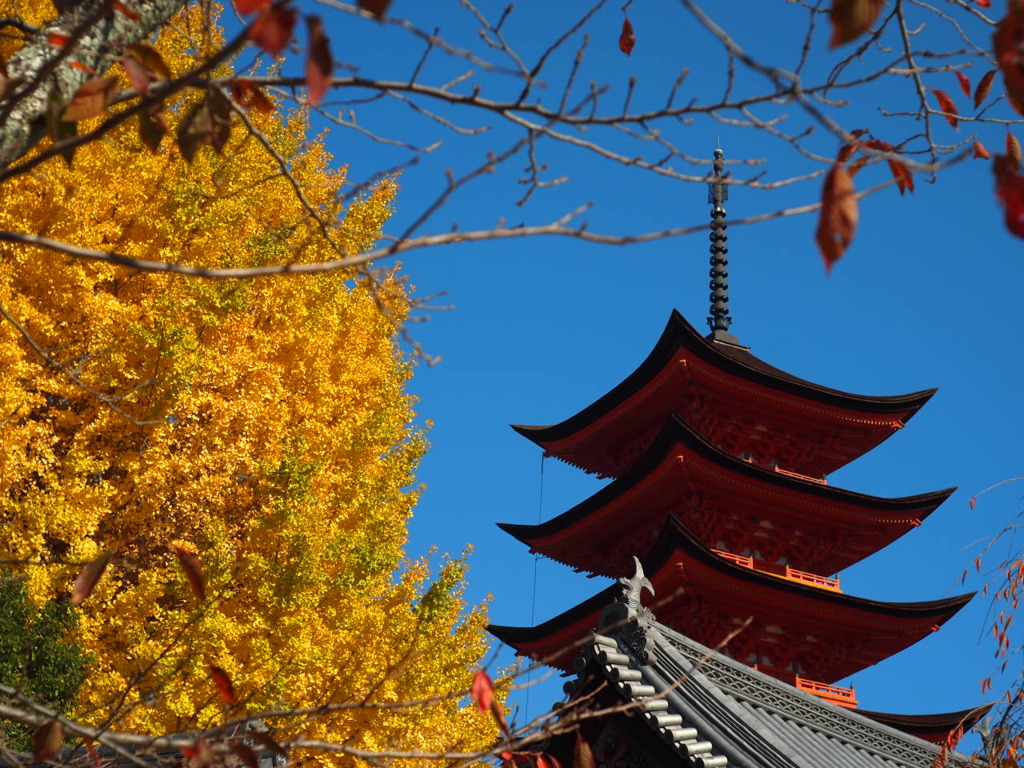 秋景色