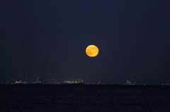 Luna Rossa