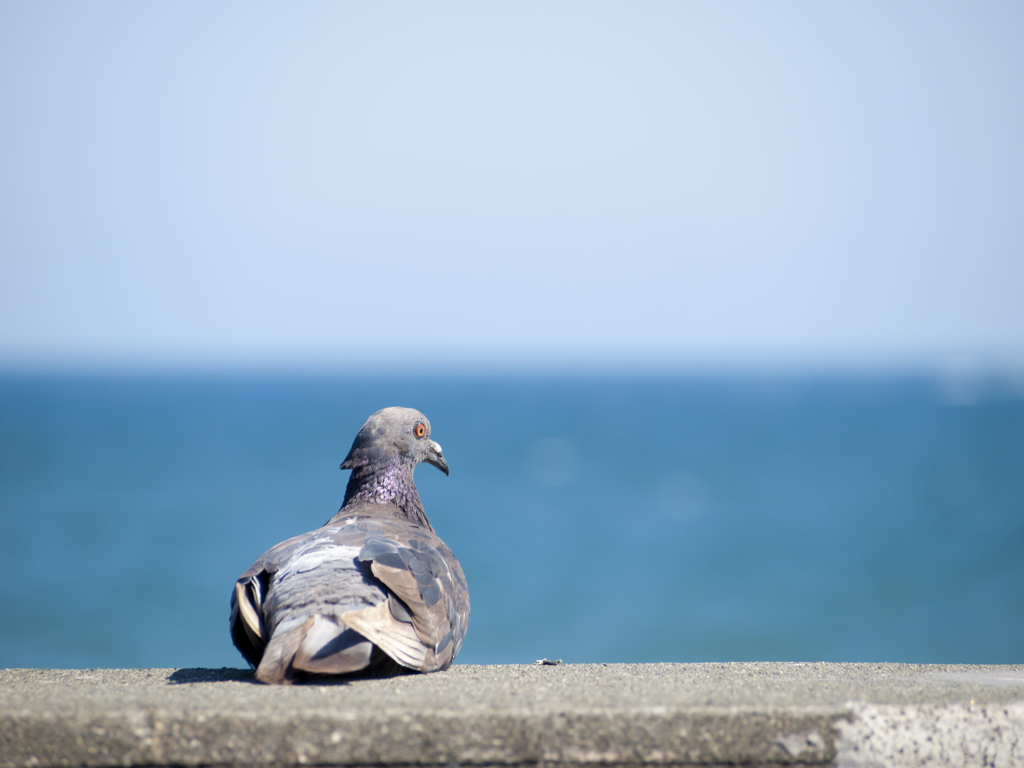 日光浴