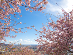 春の空