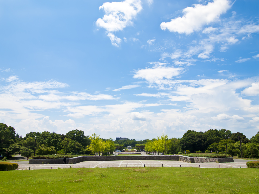 夏の空