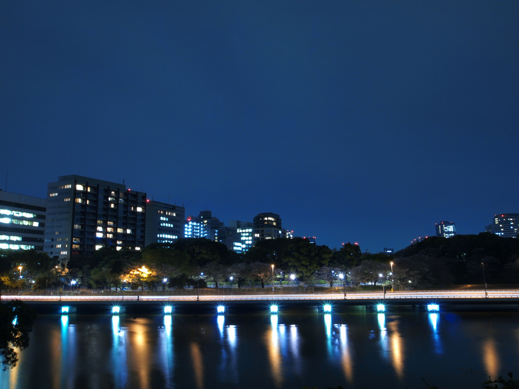 夜の首都高桜