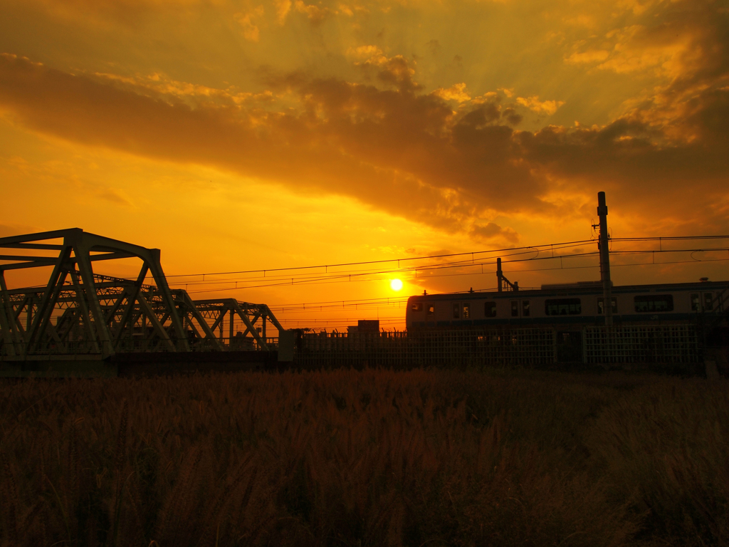 sunset train