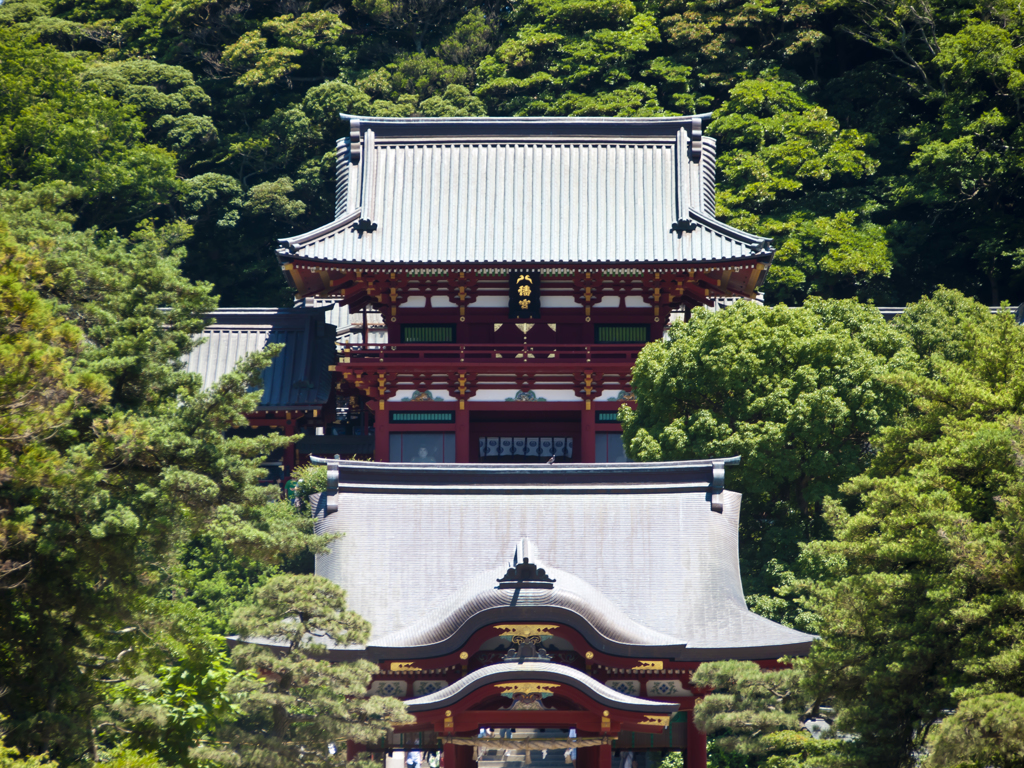 夏の八幡宮
