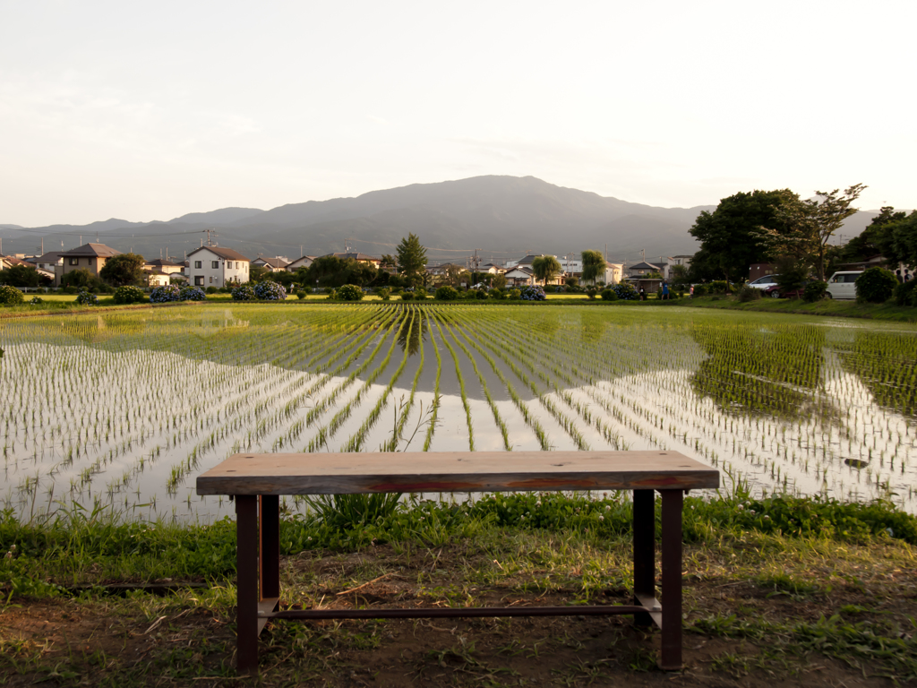 静かなベンチ