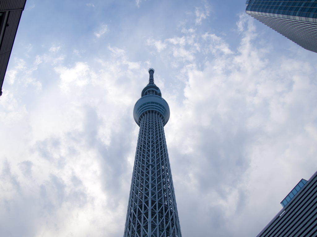 都会を見下ろす